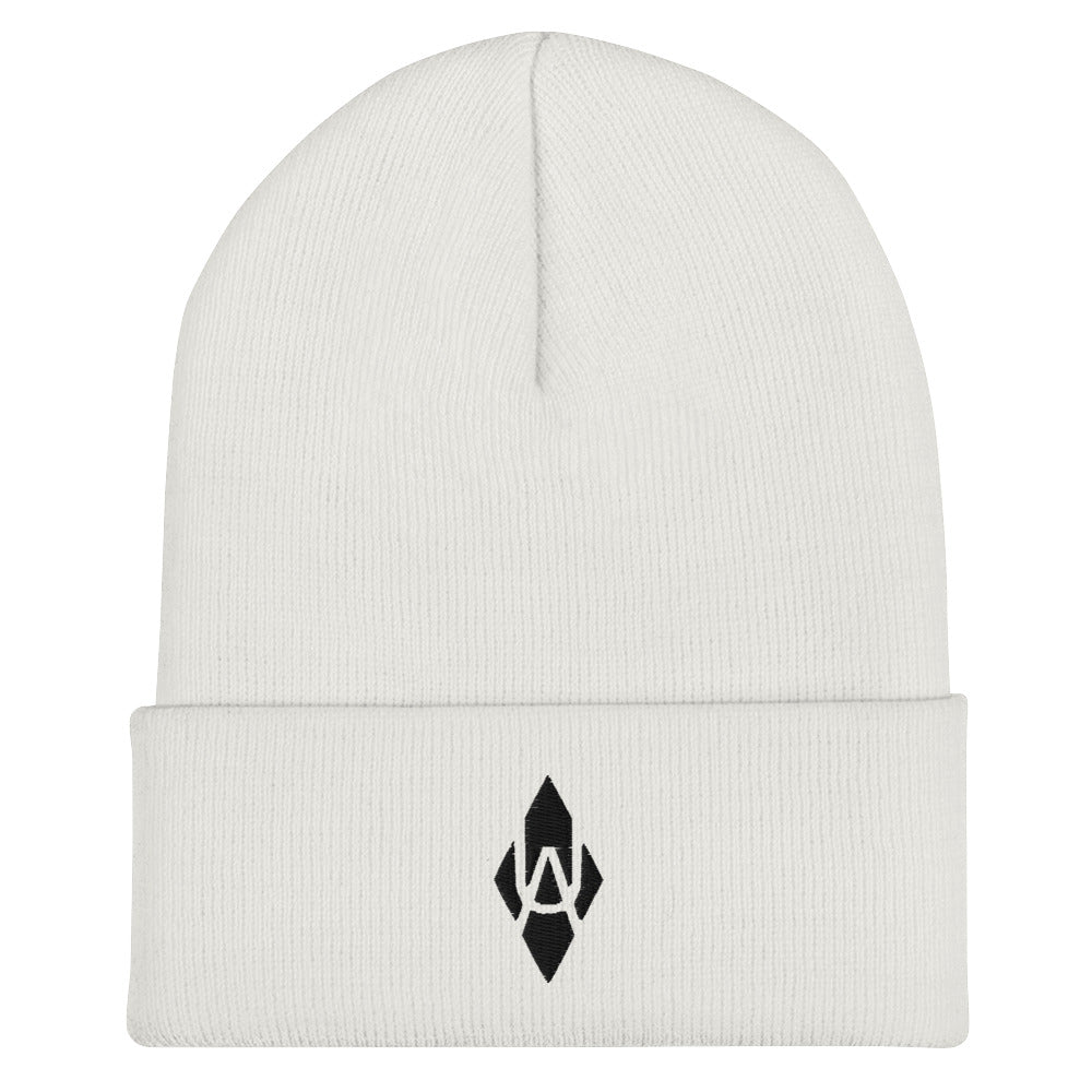 White Out - Black Diamond Beanie